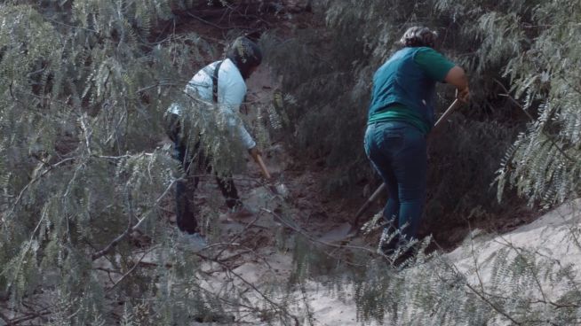 Verzweifelte Suche: Mexikos Mütter graben nach Söhnen